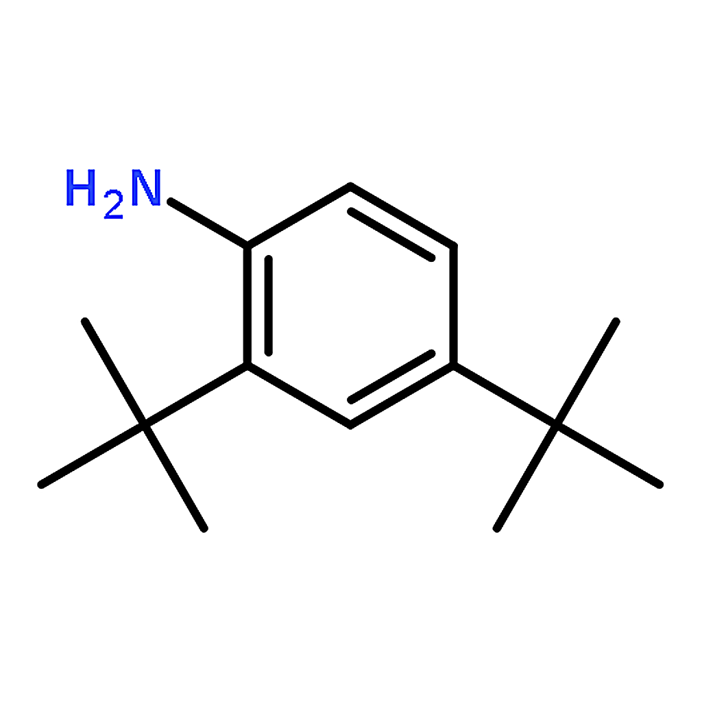 RHAWN 2,4-Di-tert-butylaniline