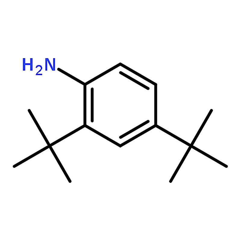 RHAWN 2,4-Di-tert-butylaniline