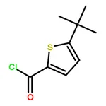 RHAWN 5-tert-Butylthiophene-2-carboxylic acid