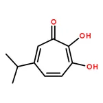 RHAWN 2,3-Dihydroxy-5-isopropylcyclohepta-2,4,6-trienone