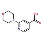 RHAWN 2-Morpholinoisonicotinic Acid