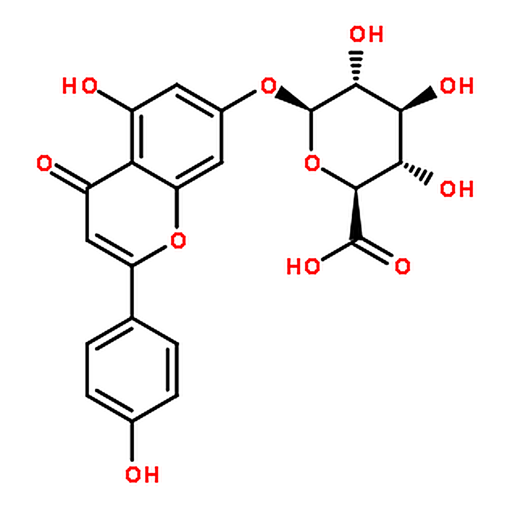RHAWN Apigenin 7-glucuronide