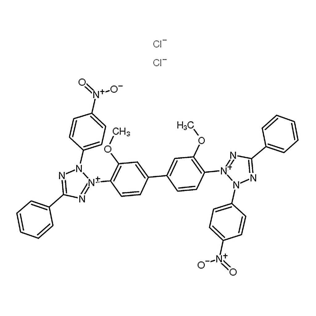 RHAWN nitro blue tetrazolium dichloride