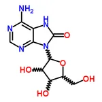 RHAWN 8-Oxoadenosine