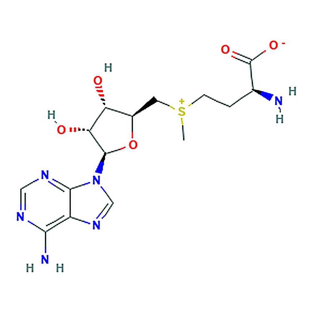 RHAWN S-Adenosyl-L-methionine(Isomeric mixture)