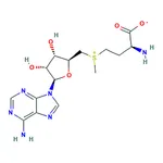 RHAWN S-Adenosyl-L-methionine(Isomeric mixture)