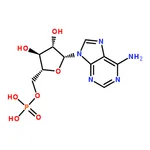 RHAWN 9-beta-D-Arabinofuranosyladenine-5'-monophosphate