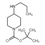 RHAWN tert-Butyl 4-(propylamino)piperidine-1-carboxylate
