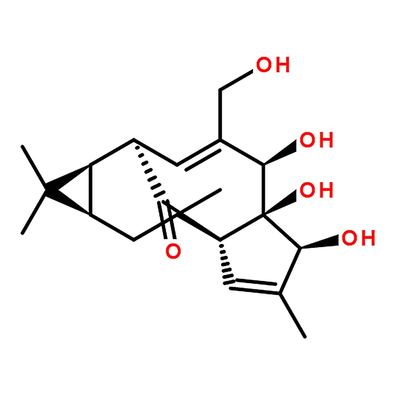 RHAWN Ingenol