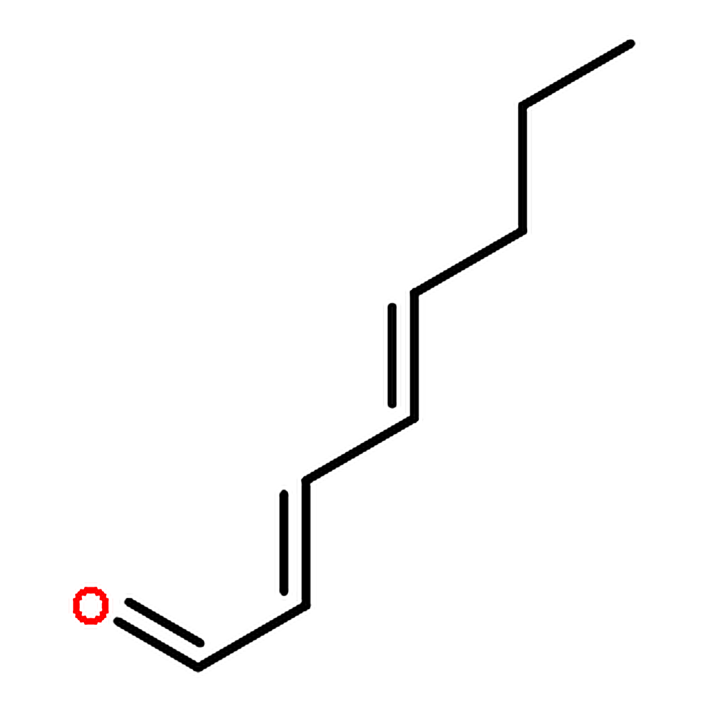 RHAWN (2E,4E)-Octa-2,4-dienal
