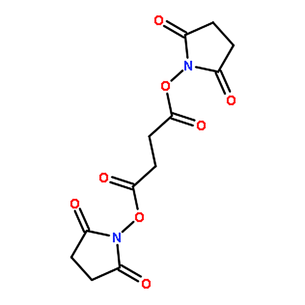 RHAWN Bis(2，5-dioxopyrrolidin-1-yl) succinate