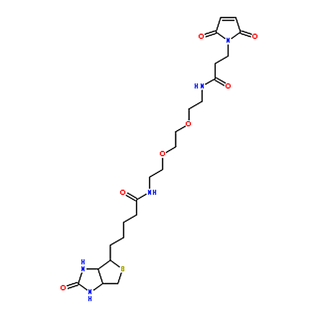 RHAWN N-Biotinyl-N'-(3-maleimidopropionyl)-3,6-dioxaoctane-1,8-diamine