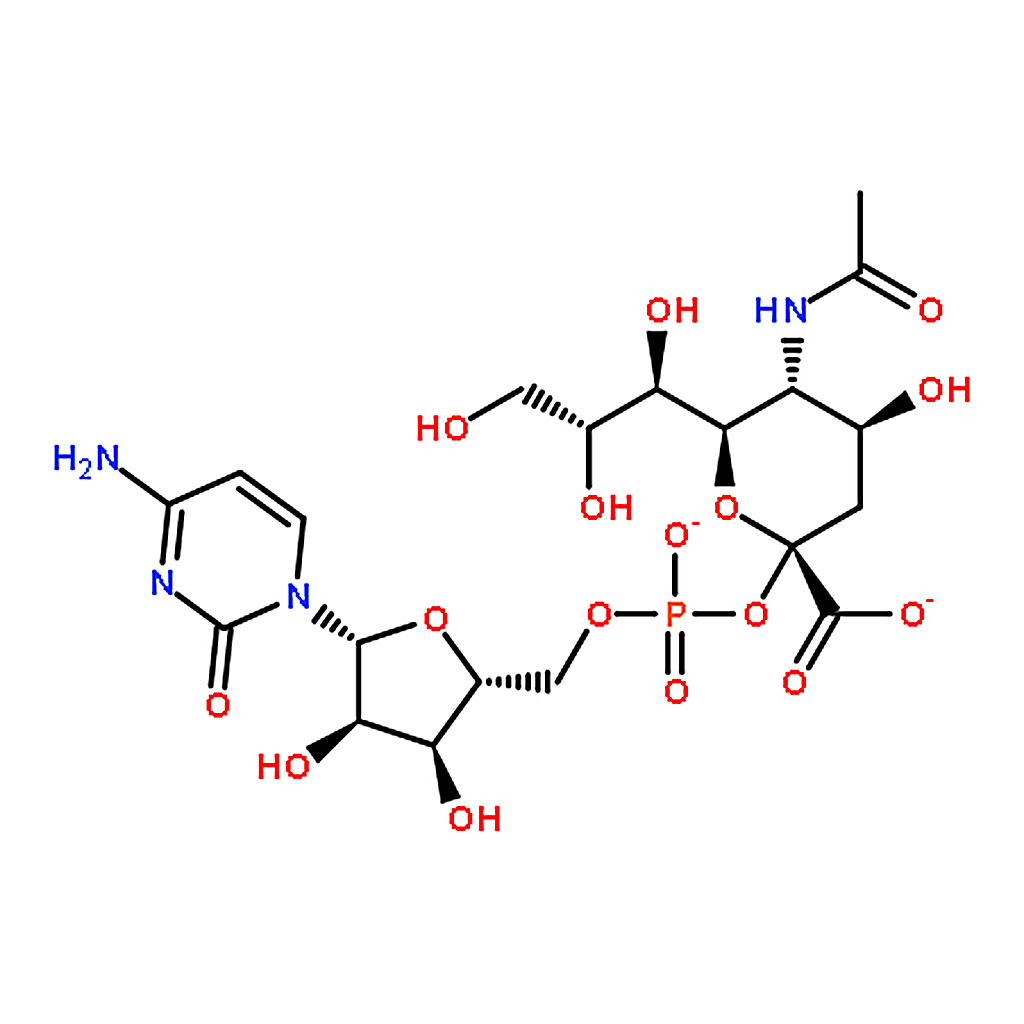RHAWN Cytidine-5'-monophospho-N-acetylneuraminic acid