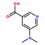 RHAWN 5-(Dimethylamino)nicotinic Acid