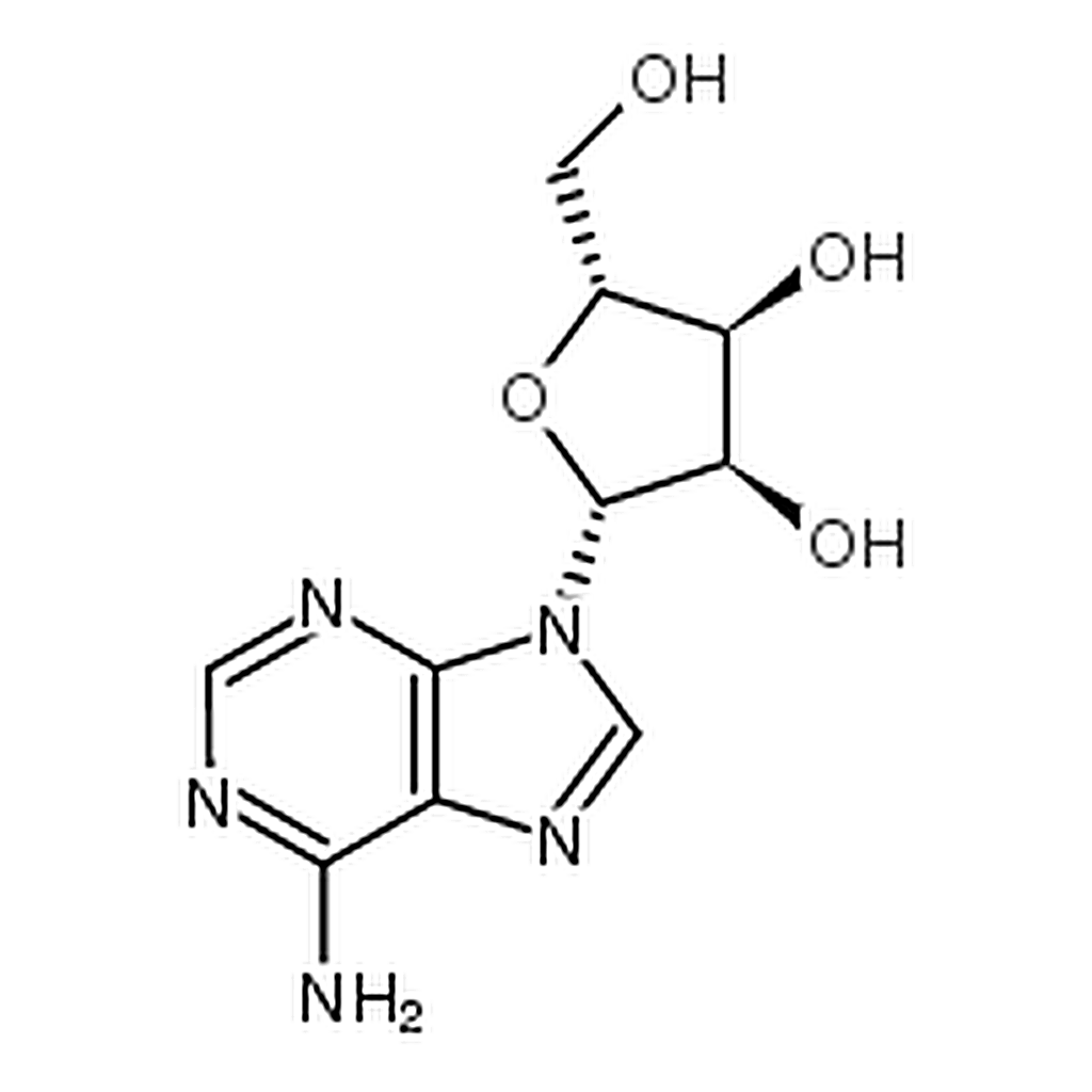 RHAWN (2S,3S,4R,5S)-2-(6-Amino-9H-purin-9-yl)-5-(hydroxymethyl)tetrahydrofuran-3,4-diol