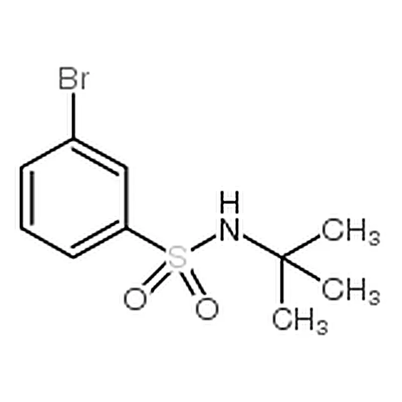 RHAWN 3-Bromo-N-(tert-butyl)benzenesulfonamide