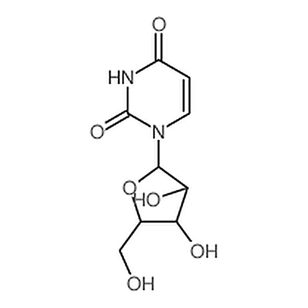 RHAWN 1-beta-D-Arabinofuranosyluracil