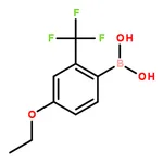 RHAWN (4-Ethoxy-2-(trifluoromethyl)phenyl)boronic acid