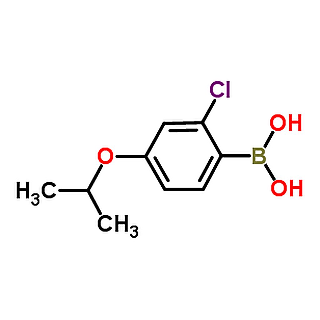 RHAWN (2-Chloro-4-isopropoxyphenyl)boronic acid