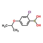 RHAWN (2-Chloro-4-isopropoxyphenyl)boronic acid