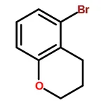 RHAWN 5-Bromochroman