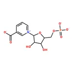 RHAWN -NicotinicAcidMononucleotide
