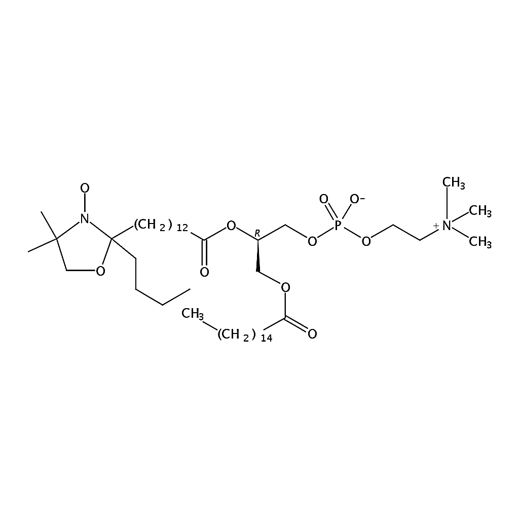 RHAWN 1-palmitoyl-2-stearoyl-(14-doxyl)-sn-glycero-3-phosphocholine