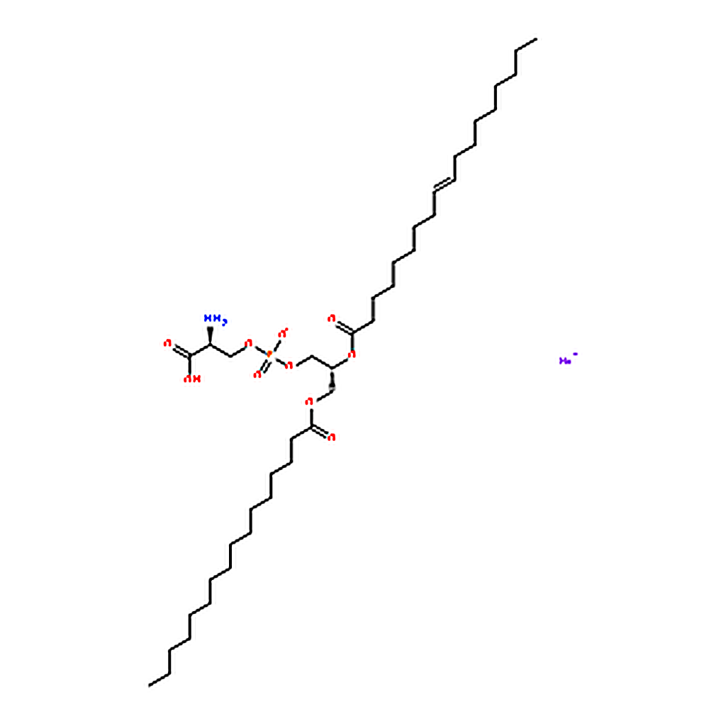 RHAWN 1-palmitoyl-2-oleoyl-sn-glycero-3-phospho-L-serine (sodium salt)
