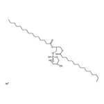 RHAWN 1,2-dipentadecanoyl-sn-glycero-3-phospho-(1'-rac-glycerol) (sodium salt)