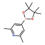 RHAWN 2,6-DIMETHYLPYRIDINE-4-BORONIC ACID, PINACOL ESTER