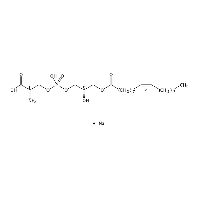 RHAWN 1-oleoyl-2-hydroxy-sn-glycero-3-phospho-L-serine (sodium salt)
