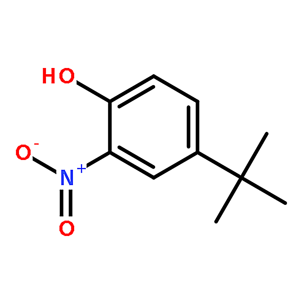 RHAWN 4-(tert-Butyl)-2-nitrophenol