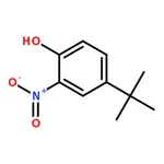 RHAWN 4-(tert-Butyl)-2-nitrophenol