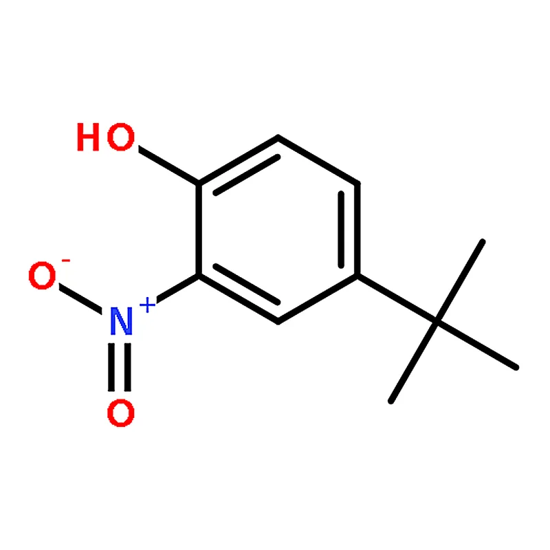 RHAWN 4-(tert-Butyl)-2-nitrophenol