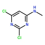 RHAWN 2,6-Dichloro-N-methylpyrimidin-4-amine