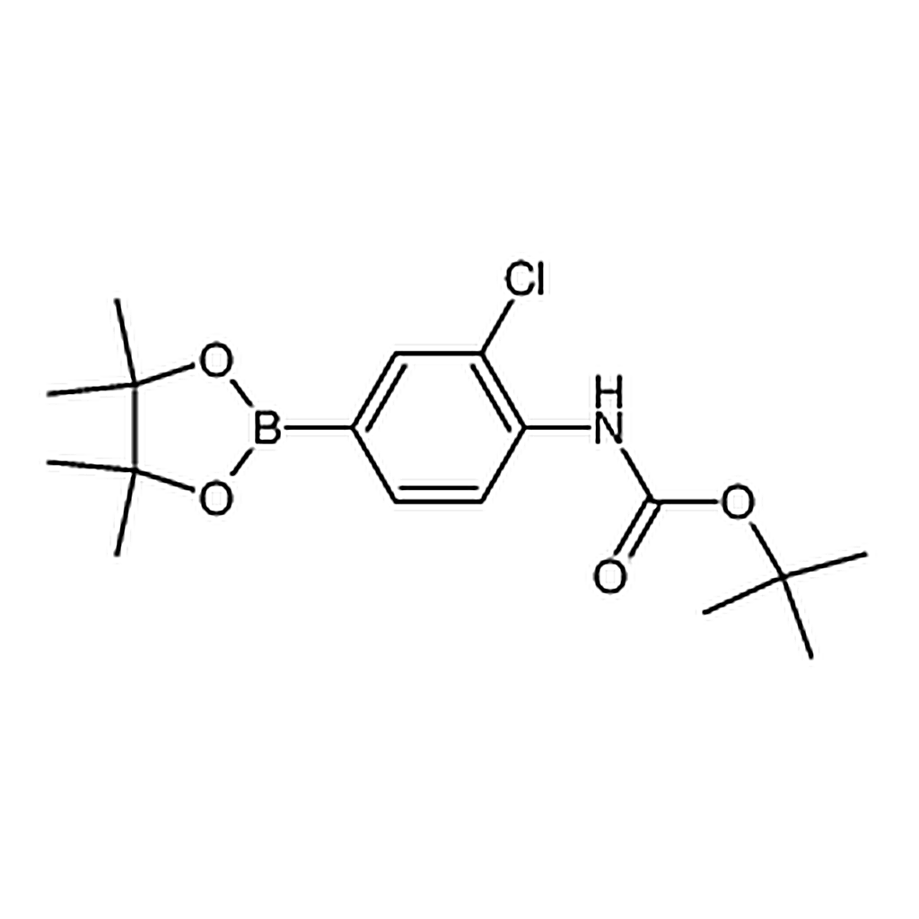 RHAWN tert-Butyl (2-chloro-4-(4,4,5,5-tetramethyl-1,3,2-dioxaborolan-2-yl)phenyl)carbamate