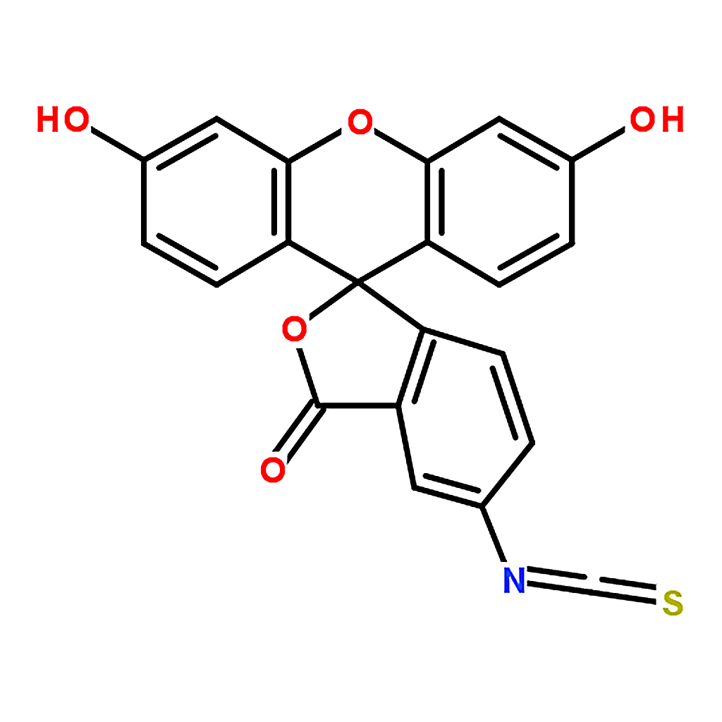 RHAWN fluorescein 5-isothiocyanate