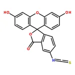 RHAWN fluorescein 5-isothiocyanate