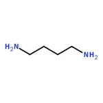RHAWN 1,4-Diaminobutane dihydrochloride