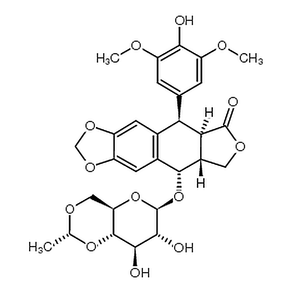 RHAWN Etoposide