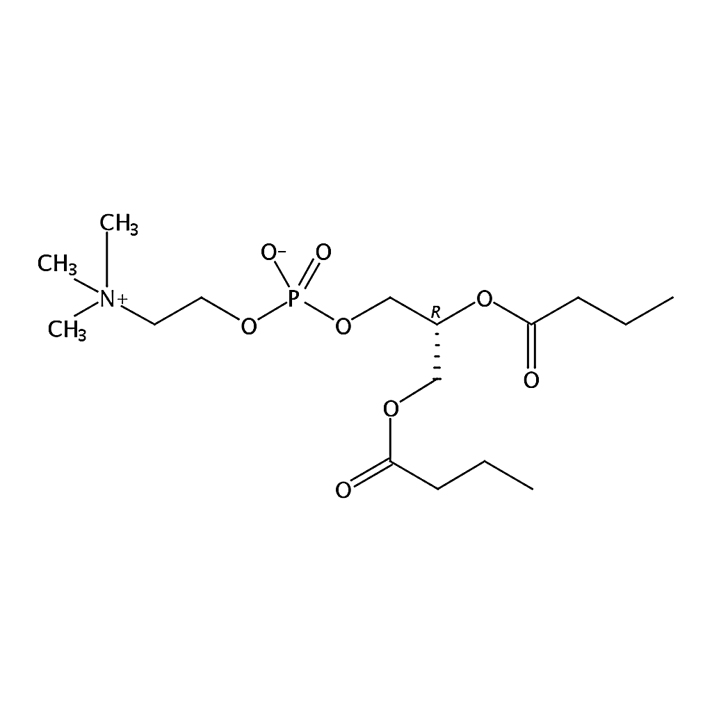 RHAWN 1,2-dibutyryl-sn-glycero-3-phosphocholine