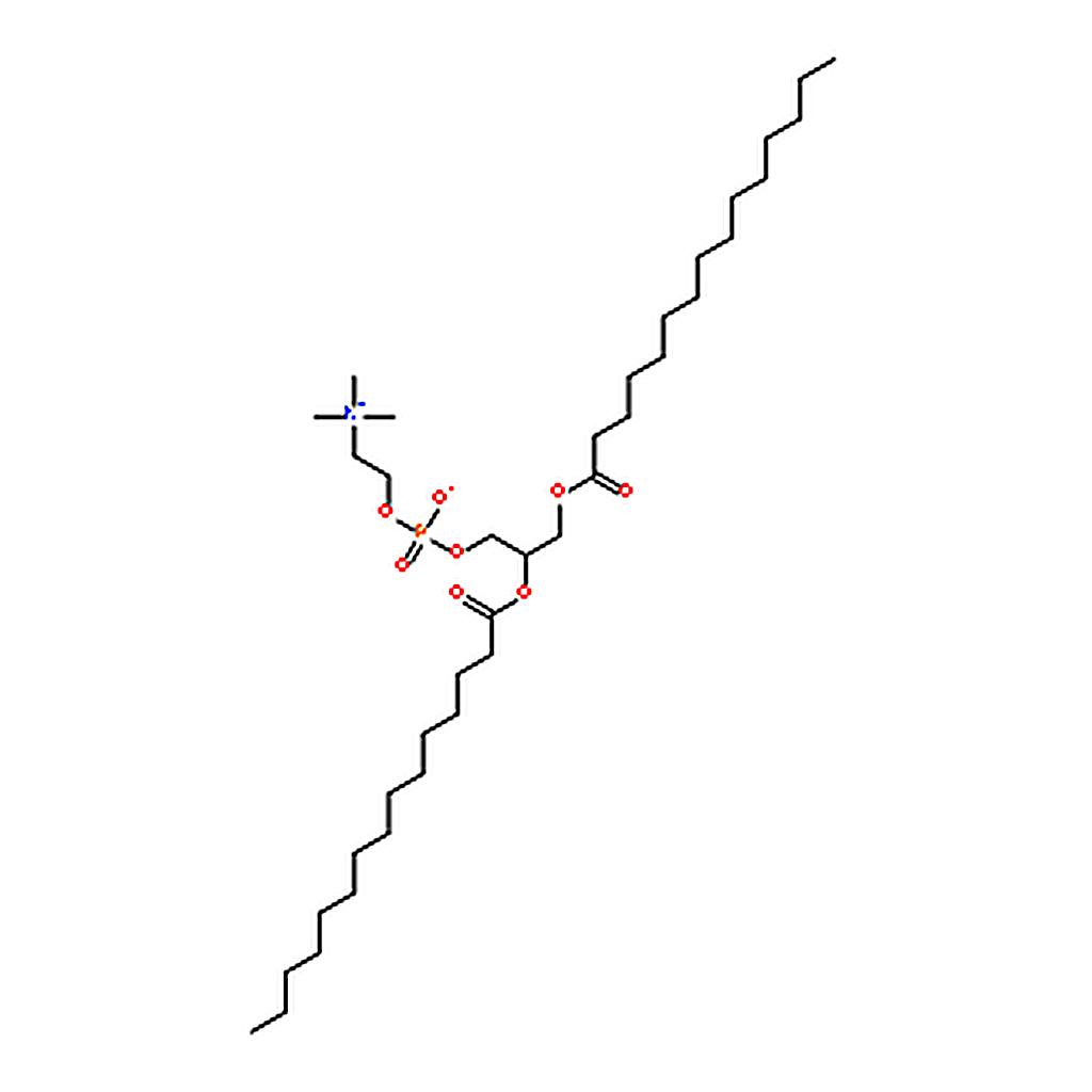 RHAWN 1,2-dipentadecanoyl-sn-glycero-3-phosphocholine