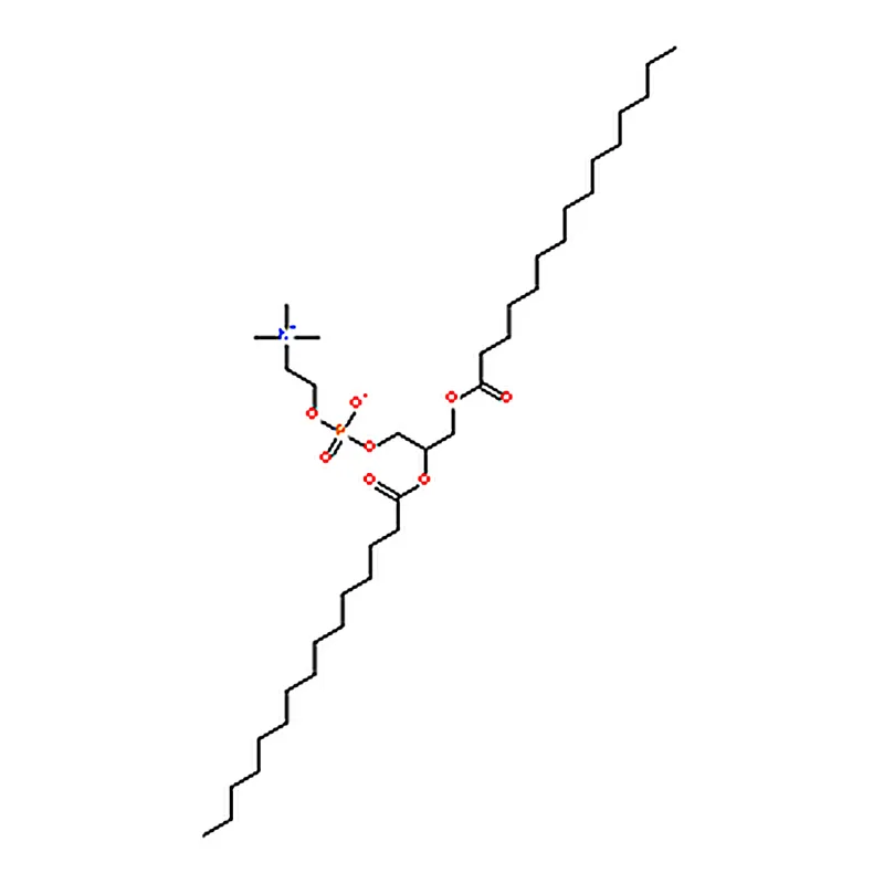 RHAWN 1,2-dipentadecanoyl-sn-glycero-3-phosphocholine