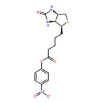 RHAWN (+)-Biotin 4-Nitrophenyl Ester