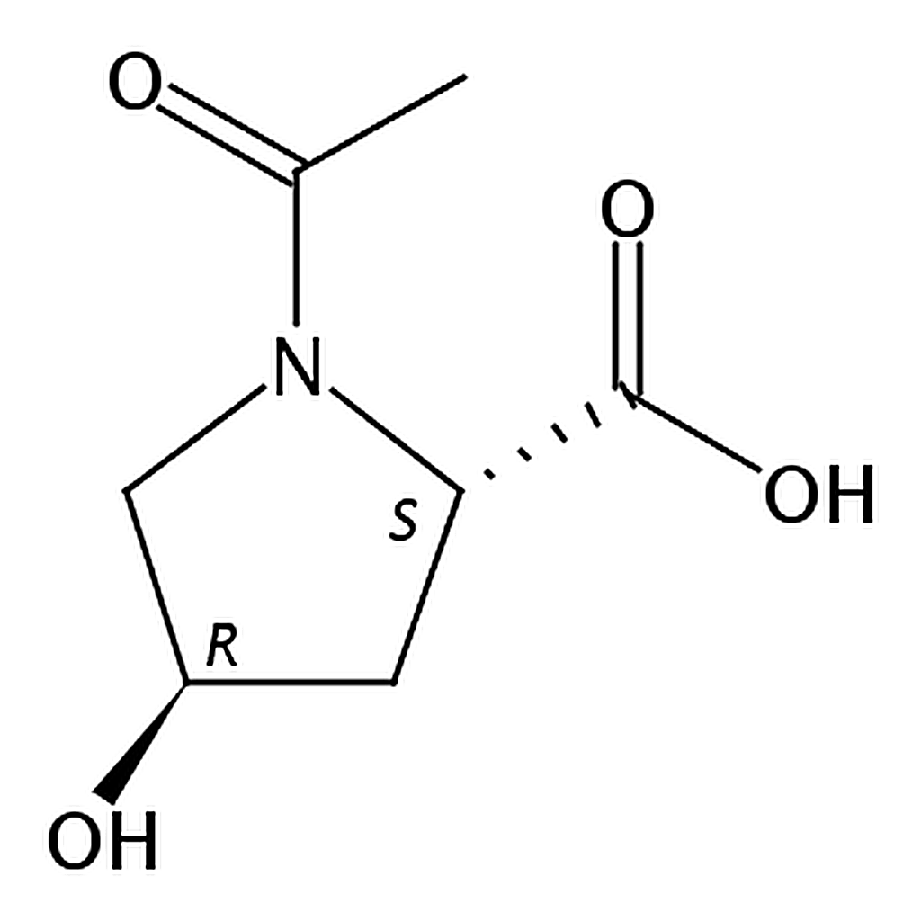 RHAWN N-Acetyl-L-hydroxyproline