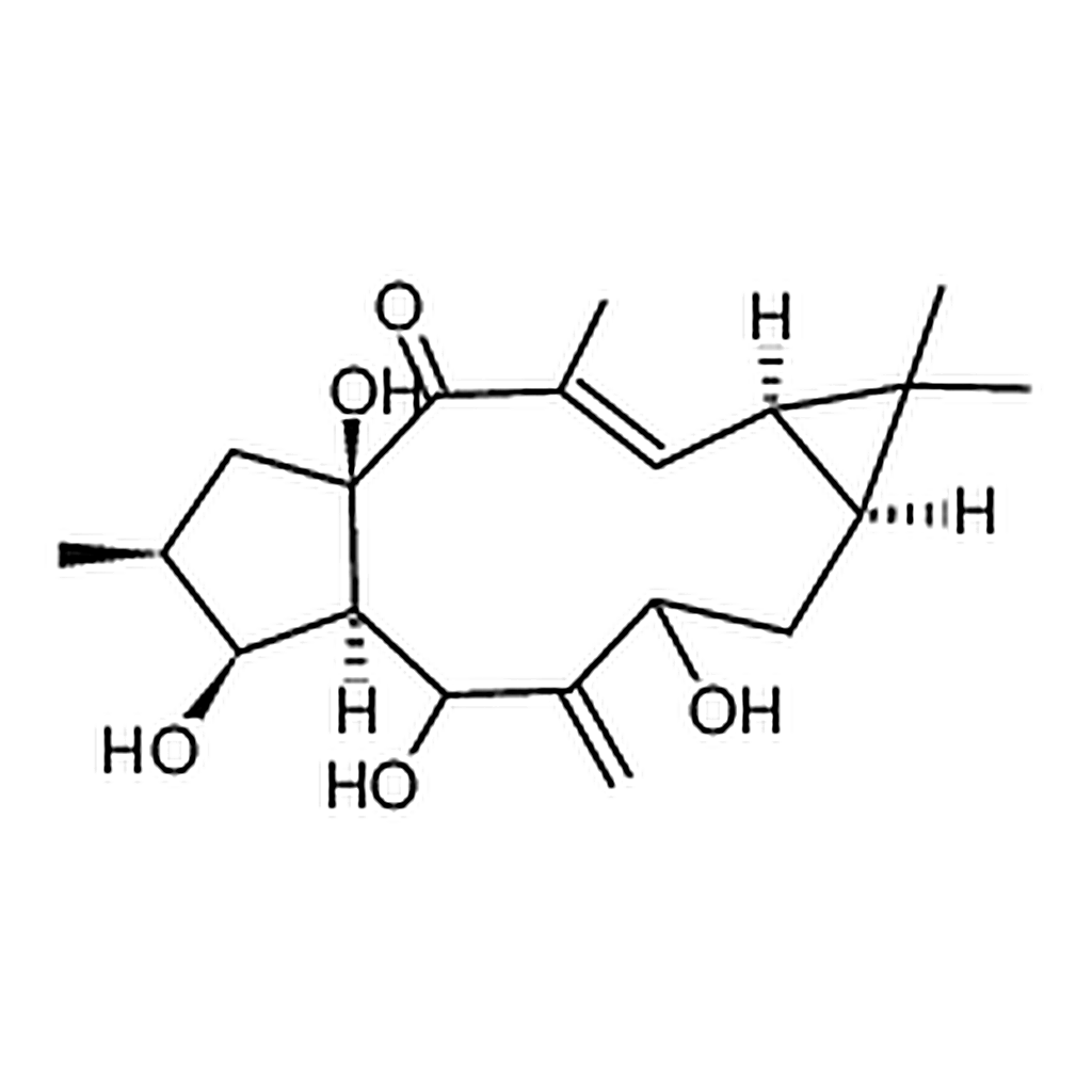RHAWN 7-Hydroxy-lathyrol