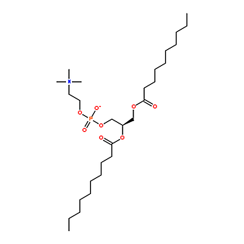 RHAWN Didecanoyl Phosphatidylcholine