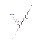 RHAWN Didecanoyl Phosphatidylcholine