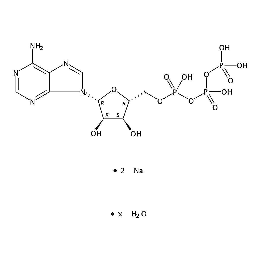RHAWN Adenosine 5’-triphosphate disodium salt hydrate
