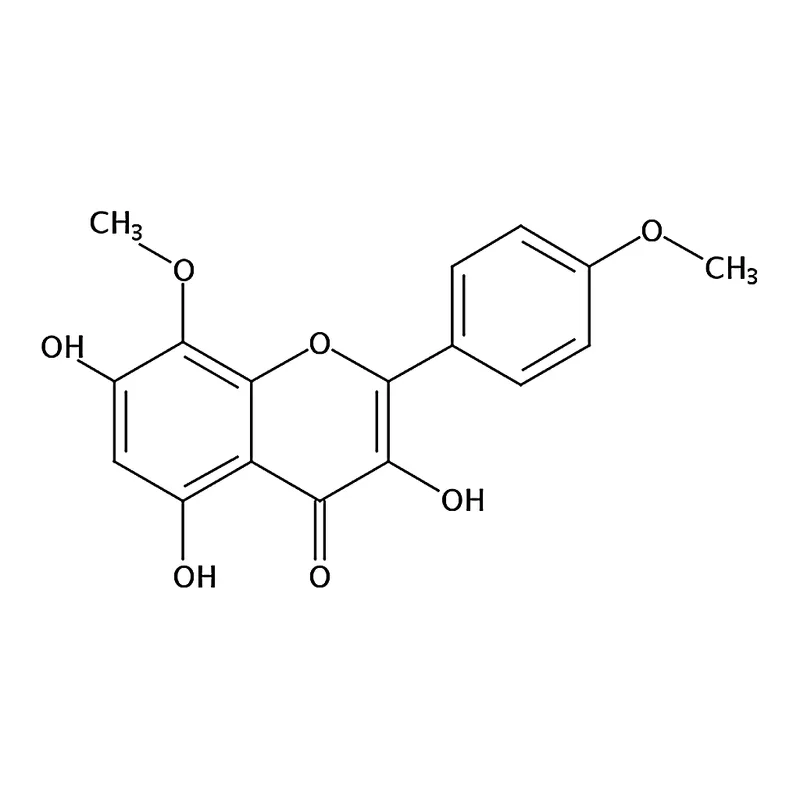 RHAWN Prudomestin